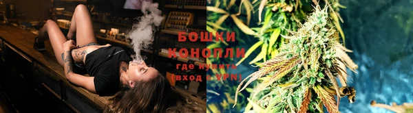 гидропоника Белокуриха