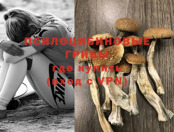 стаф Беломорск