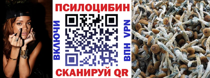 Псилоцибиновые грибы Psilocybine cubensis  Нефтекумск 